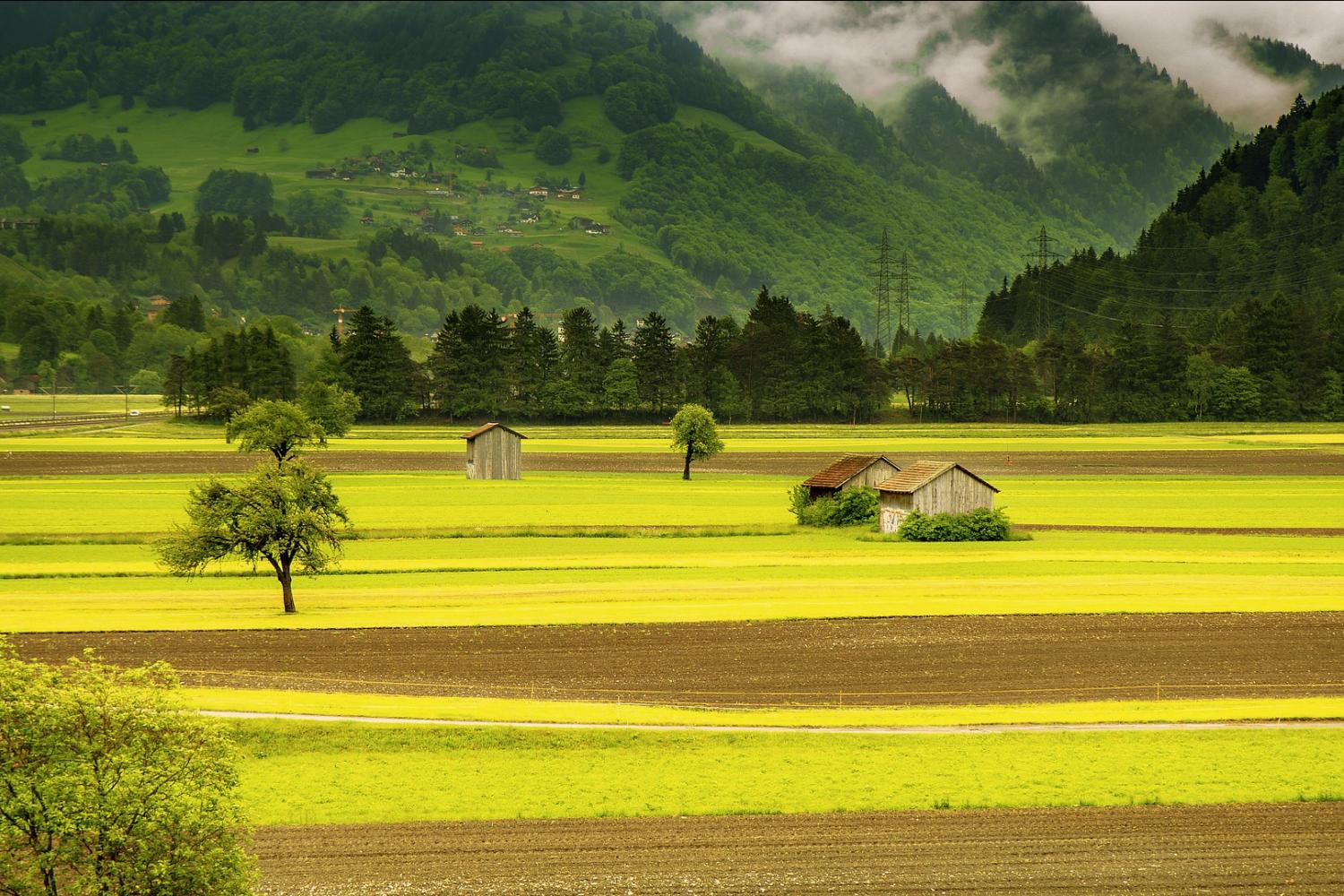 food insecurity